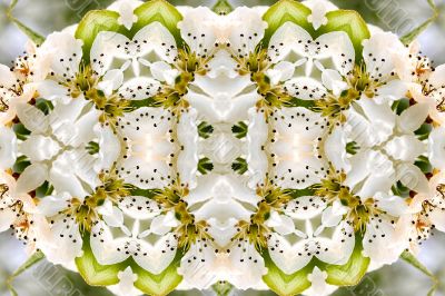 Collage on the theme of spring