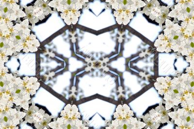 Collage on the theme of spring