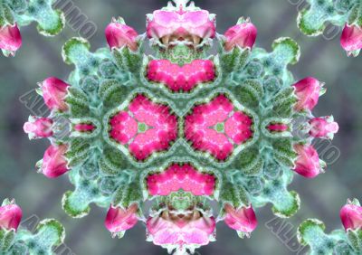 Collage on the theme of spring