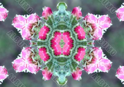Collage on the theme of spring