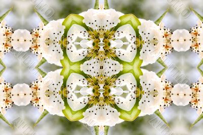 Collage on the theme of spring