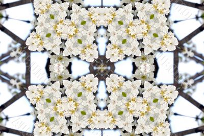 Collage on the theme of spring