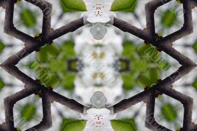 Collage on the theme of spring