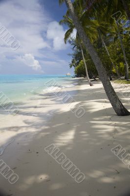 tropical beach