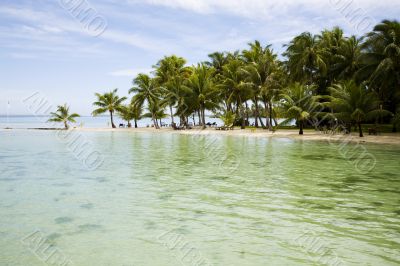 tropical island