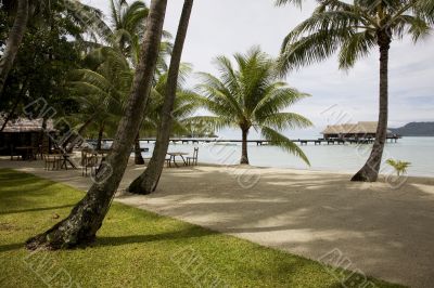 tropical beach