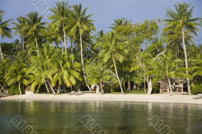 tropical beach