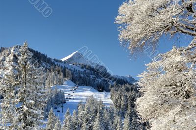 Alpspitze from Hausberg