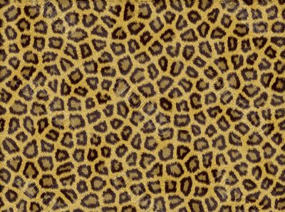 Animal fur