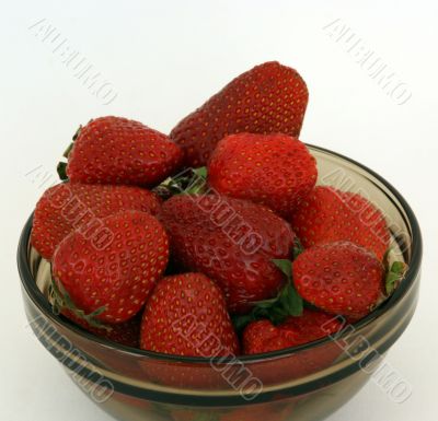 garden strawberry