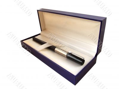 pen in box