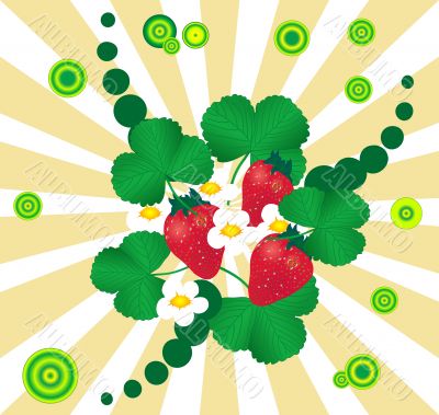 Strawberry background