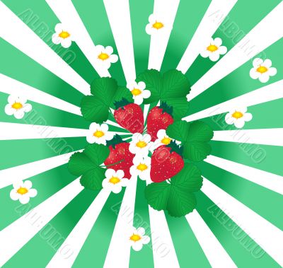 Strawberry background