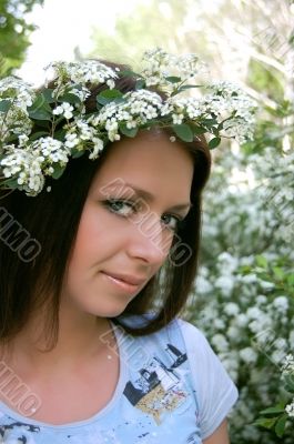 White diadem