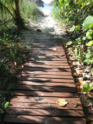 path to the beach
