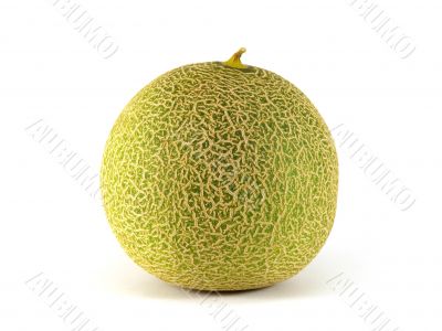 melon on a white background