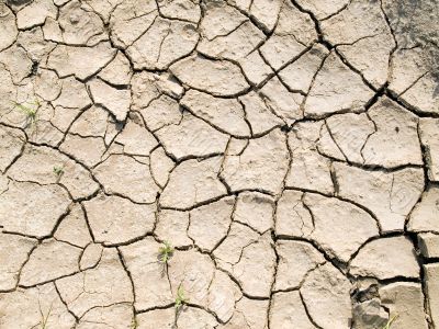 Cracked ground