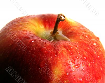 Wet apple