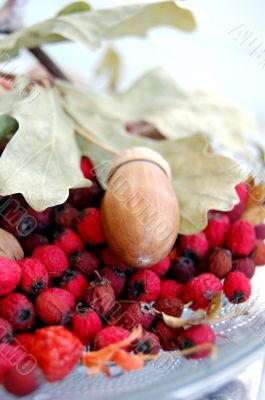 Autumn gifts