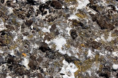 Texture