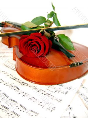 Violin