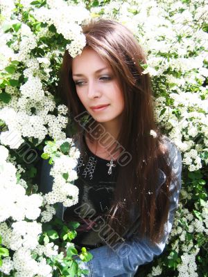 White blossom