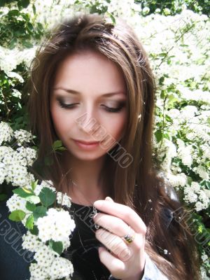 White blossom