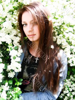 White blossom