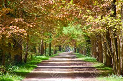 Lage Vuursche