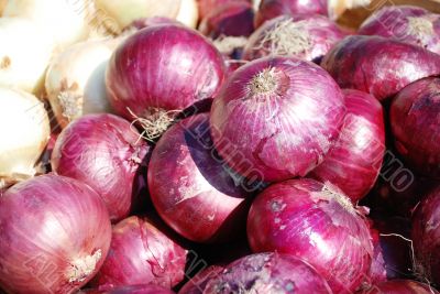 Napiform onions.