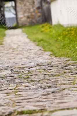 The path