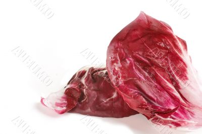 Fresh Radicchio Leaves