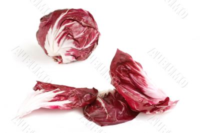 Radicchio Leaves and Head