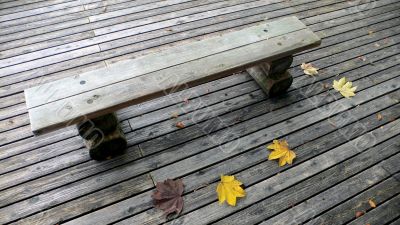 bench in autumn park