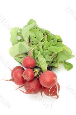 radish
