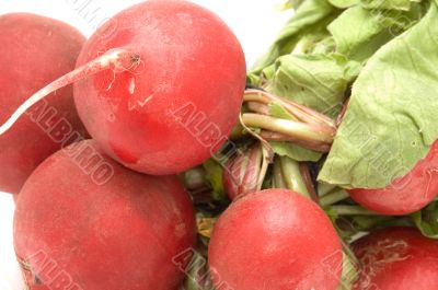 radishes on white