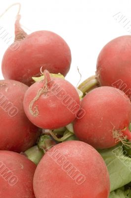 radishes