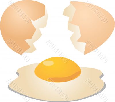 Eggs cracked open