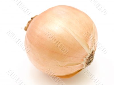 onion