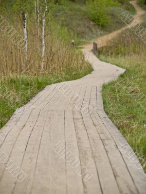 Path