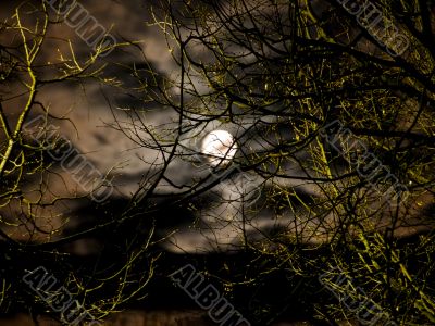 Moon