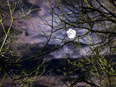 moon