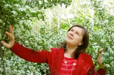 In blooming garden