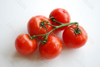 Tomato bunch.