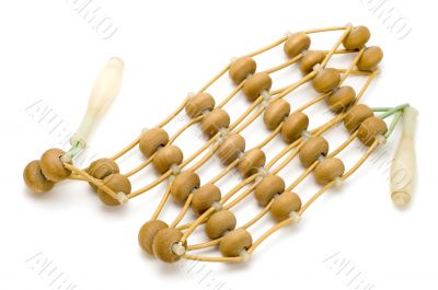 wood massage tool