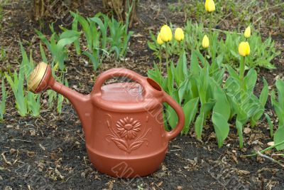 Watering Can