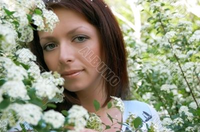In white blossom
