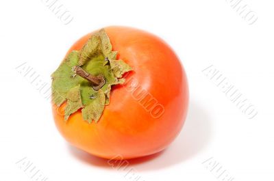 Persimmon