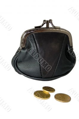 Purse and coins