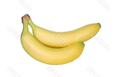 Two bananas